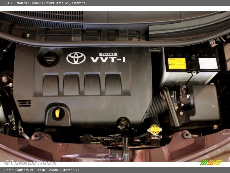Black Current Metallic / Charcoal 2010 Scion xD