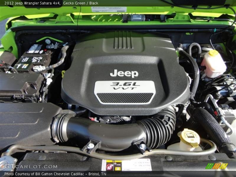 Gecko Green / Black 2012 Jeep Wrangler Sahara 4x4