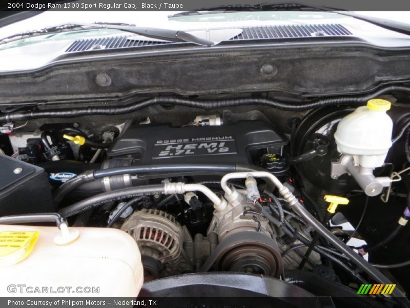 Black / Taupe 2004 Dodge Ram 1500 Sport Regular Cab