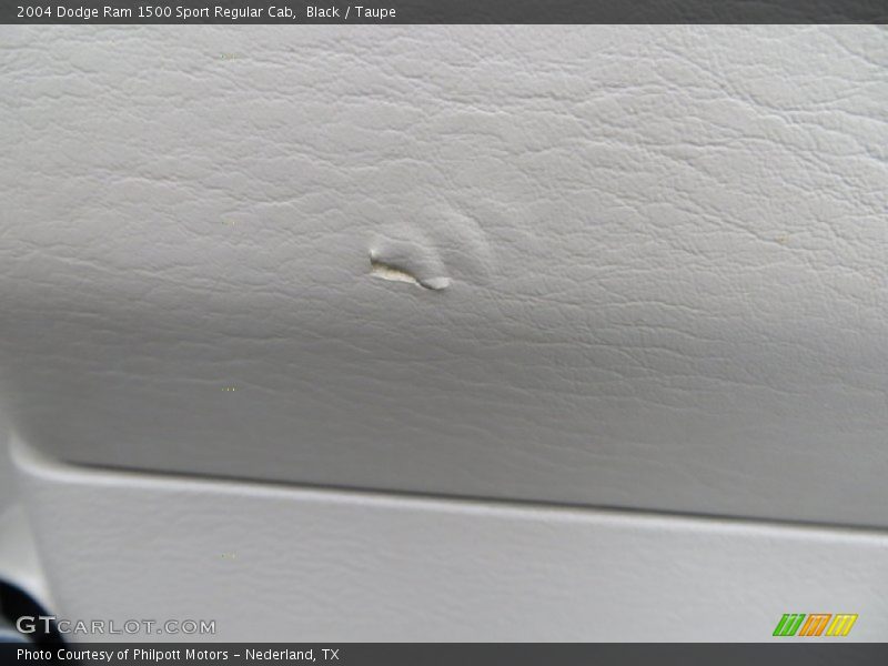 Black / Taupe 2004 Dodge Ram 1500 Sport Regular Cab