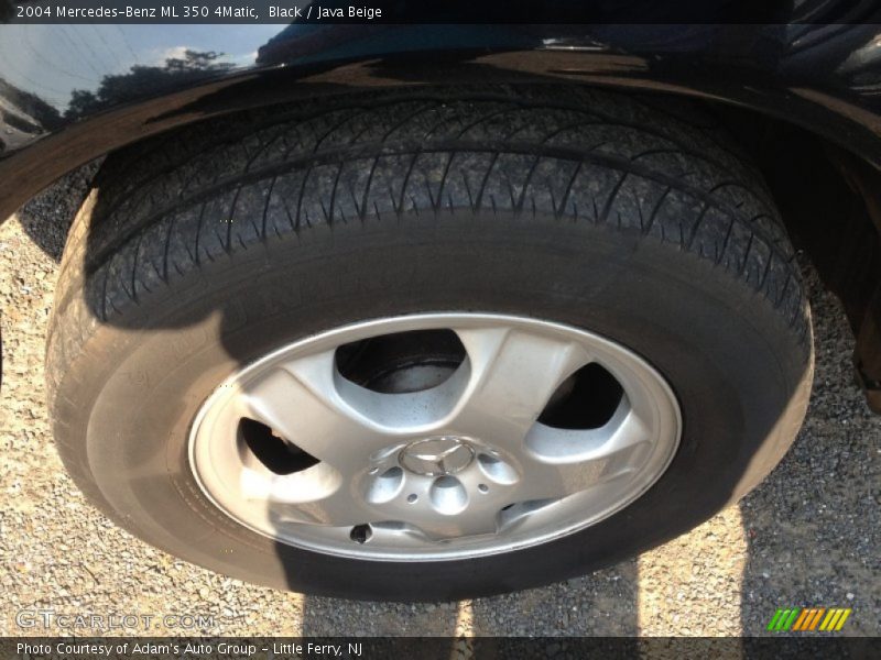 Black / Java Beige 2004 Mercedes-Benz ML 350 4Matic