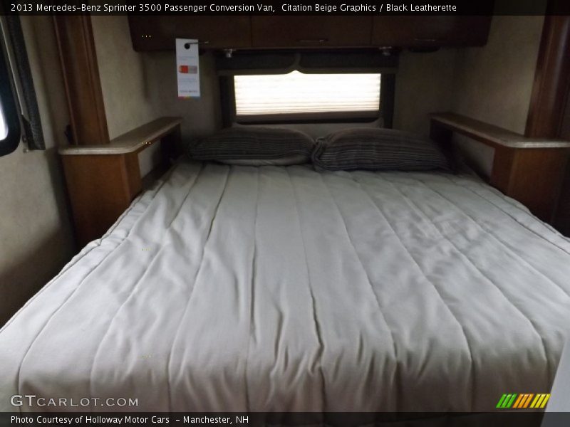 Citation Beige Graphics / Black Leatherette 2013 Mercedes-Benz Sprinter 3500 Passenger Conversion Van