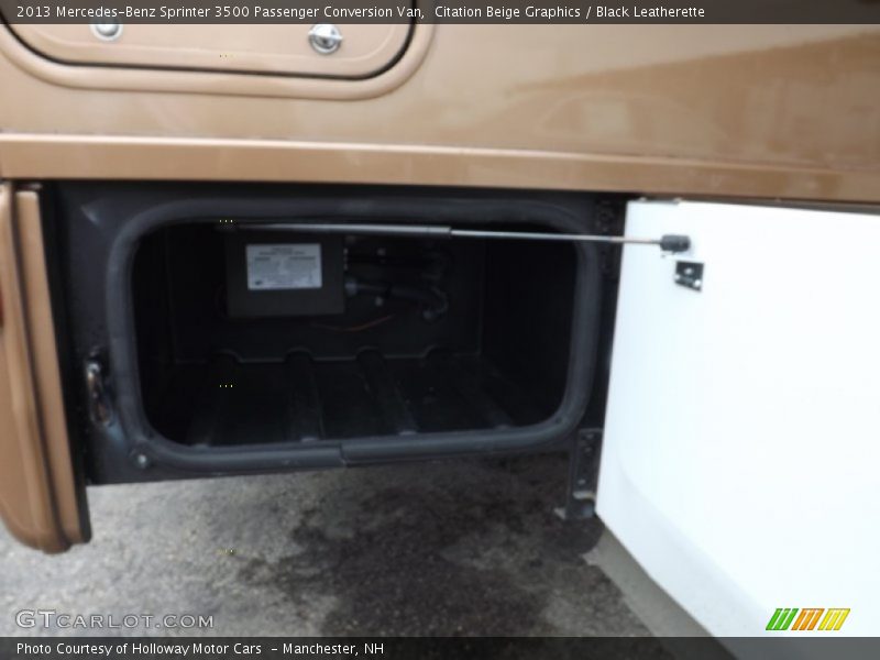 Citation Beige Graphics / Black Leatherette 2013 Mercedes-Benz Sprinter 3500 Passenger Conversion Van