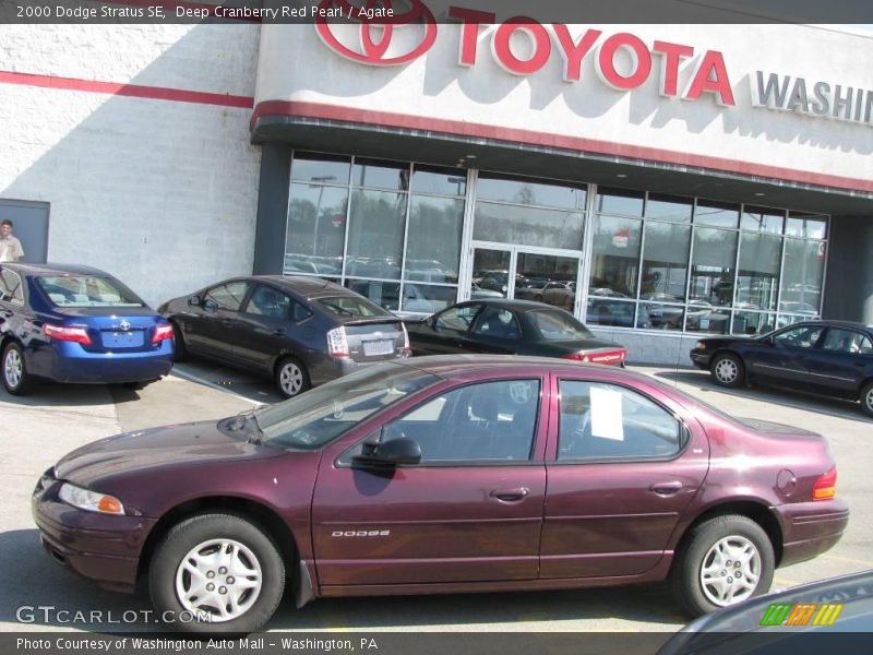 Deep Cranberry Red Pearl / Agate 2000 Dodge Stratus SE
