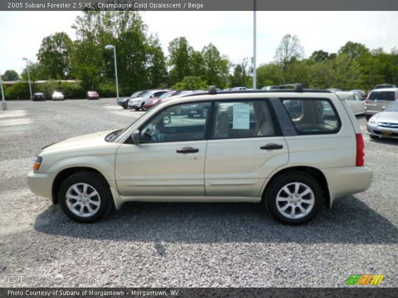 Champagne Gold Opalescent / Beige 2005 Subaru Forester 2.5 XS