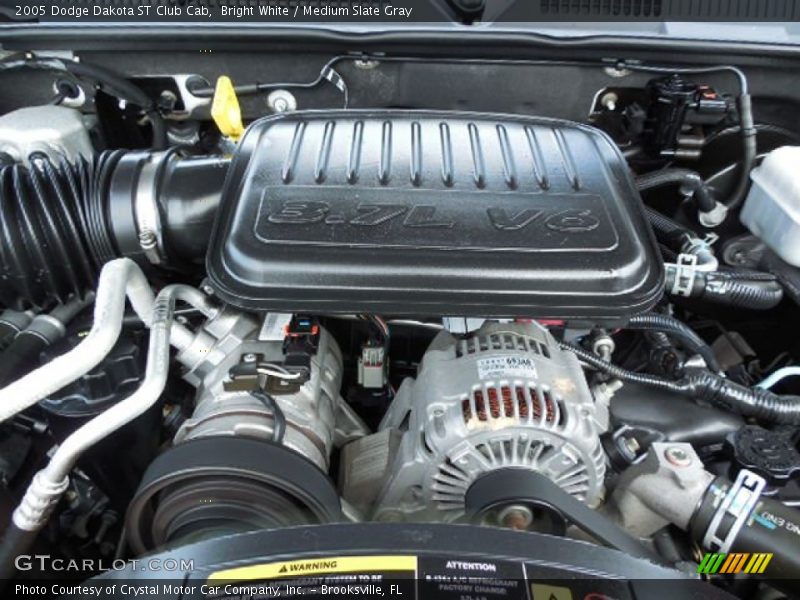 Bright White / Medium Slate Gray 2005 Dodge Dakota ST Club Cab