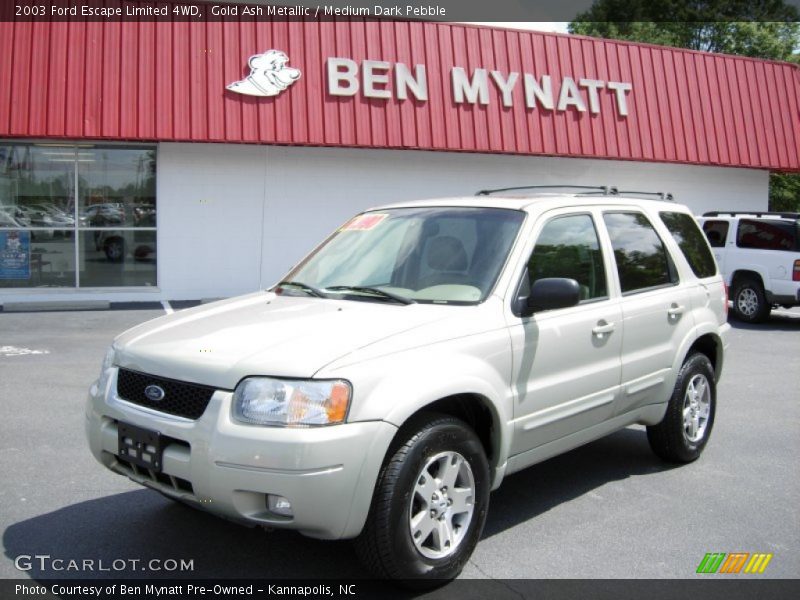Gold Ash Metallic / Medium Dark Pebble 2003 Ford Escape Limited 4WD