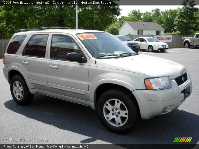 Gold Ash Metallic / Medium Dark Pebble 2003 Ford Escape Limited 4WD