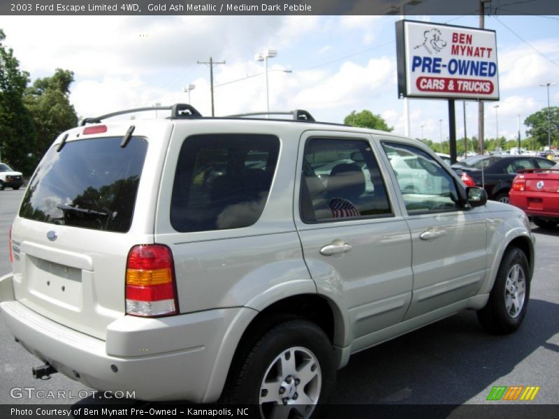 Gold Ash Metallic / Medium Dark Pebble 2003 Ford Escape Limited 4WD
