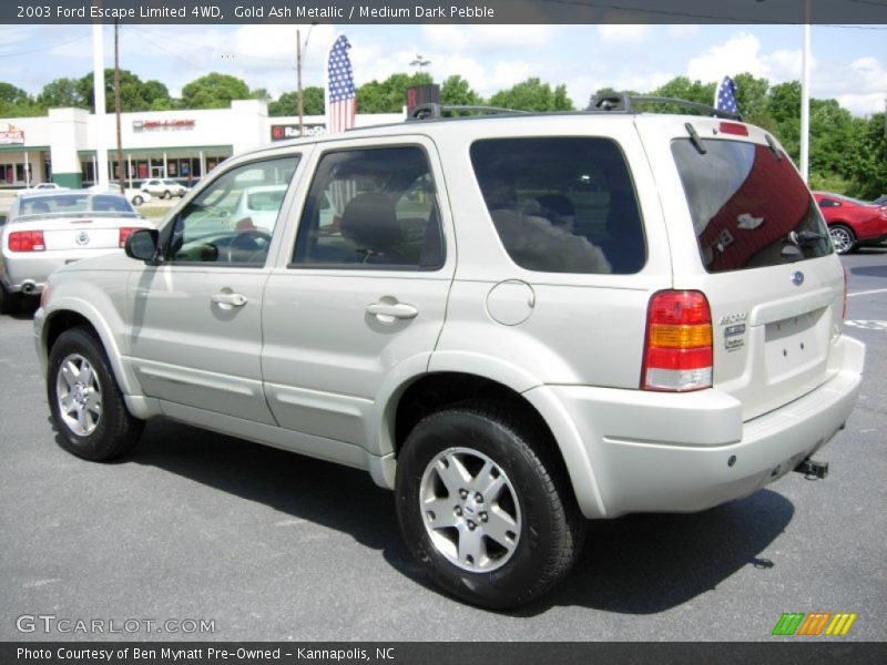 Gold Ash Metallic / Medium Dark Pebble 2003 Ford Escape Limited 4WD