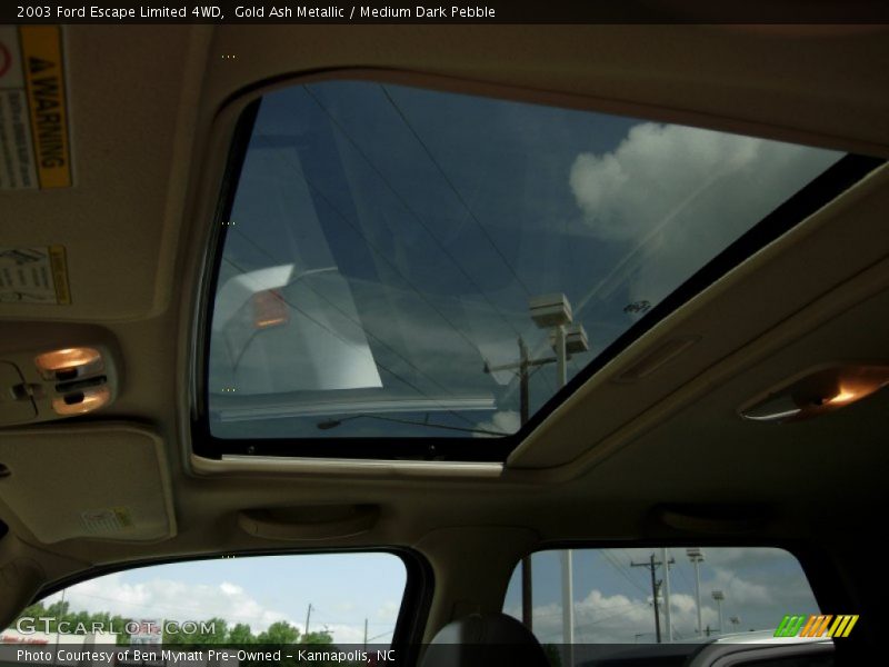 Gold Ash Metallic / Medium Dark Pebble 2003 Ford Escape Limited 4WD