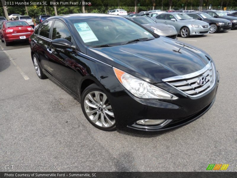 Black Plum Pearl / Black 2011 Hyundai Sonata SE