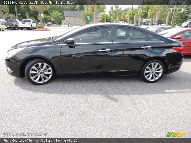 Black Plum Pearl / Black 2011 Hyundai Sonata SE