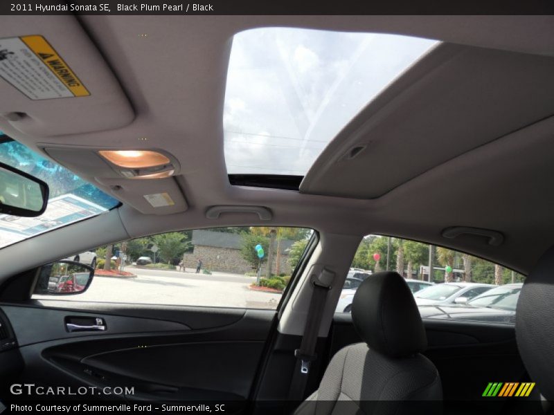 Black Plum Pearl / Black 2011 Hyundai Sonata SE