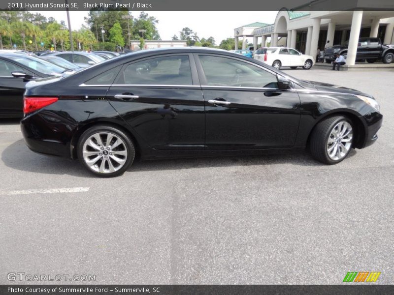 Black Plum Pearl / Black 2011 Hyundai Sonata SE