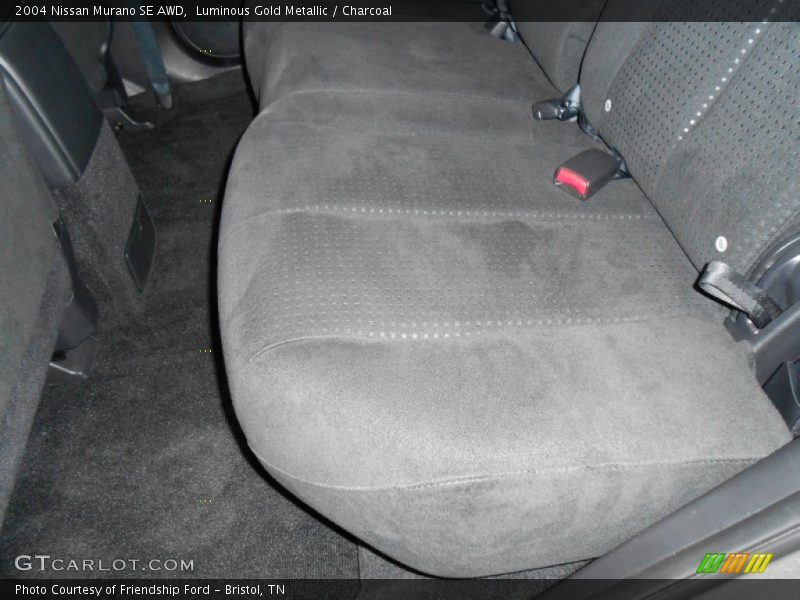 Luminous Gold Metallic / Charcoal 2004 Nissan Murano SE AWD