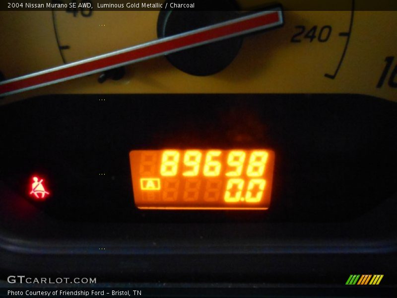 Luminous Gold Metallic / Charcoal 2004 Nissan Murano SE AWD