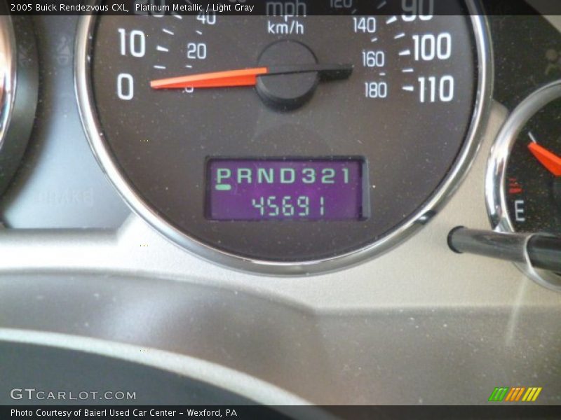 Platinum Metallic / Light Gray 2005 Buick Rendezvous CXL