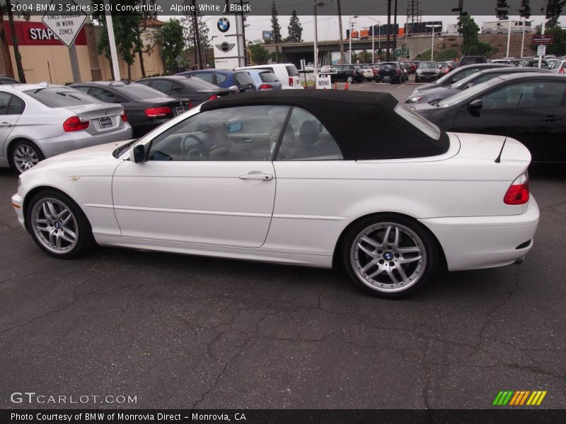 Alpine White / Black 2004 BMW 3 Series 330i Convertible