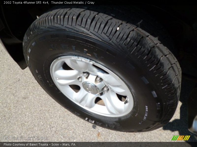 Thunder Cloud Metallic / Gray 2002 Toyota 4Runner SR5 4x4