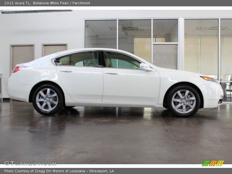 Bellanova White Pearl / Parchment 2013 Acura TL