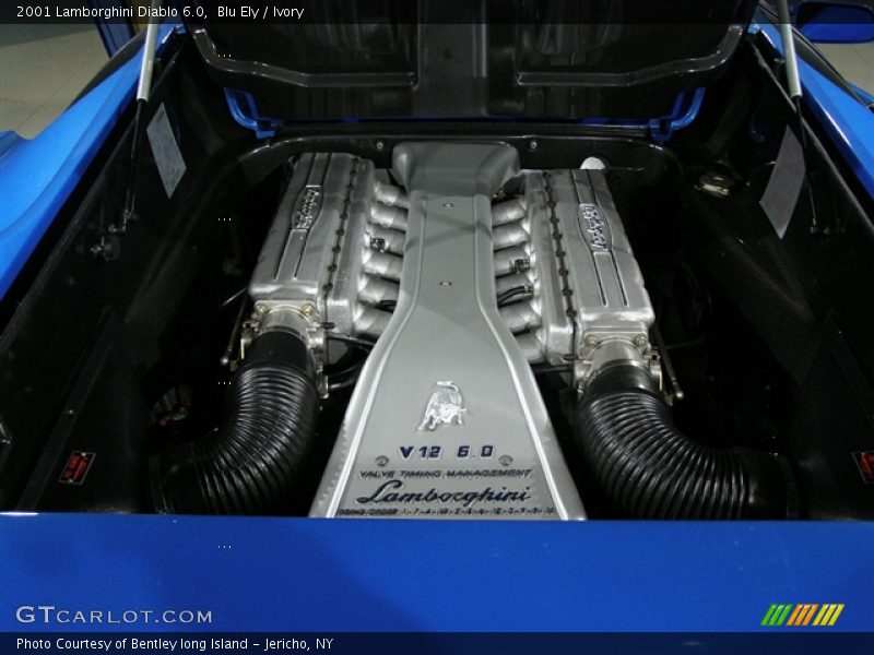  2001 Diablo 6.0 Engine - 6.0 Liter DOHC 48-Valve V12