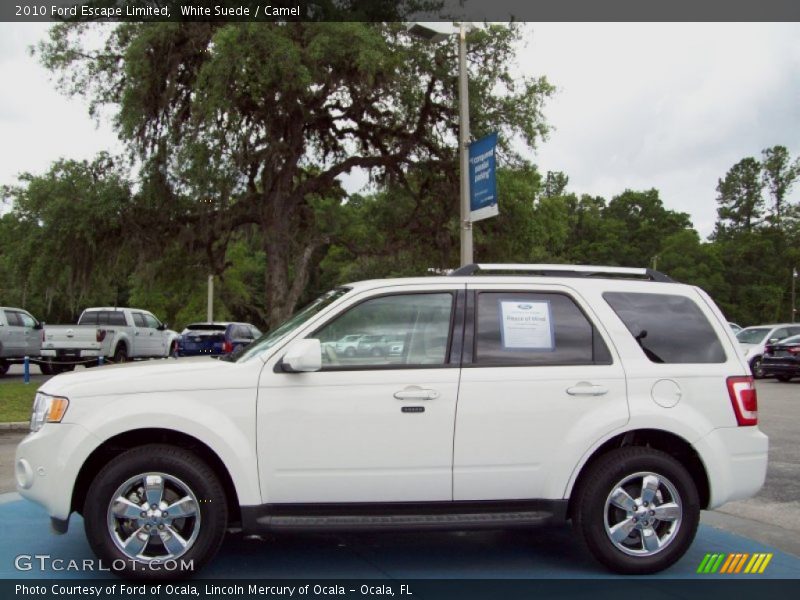 White Suede / Camel 2010 Ford Escape Limited