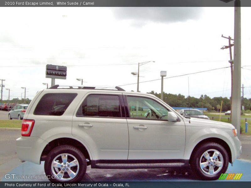 White Suede / Camel 2010 Ford Escape Limited