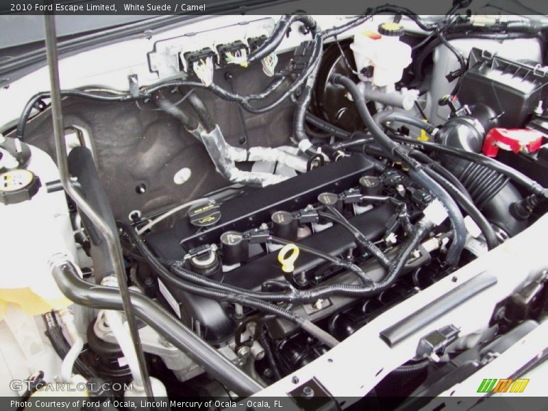 White Suede / Camel 2010 Ford Escape Limited