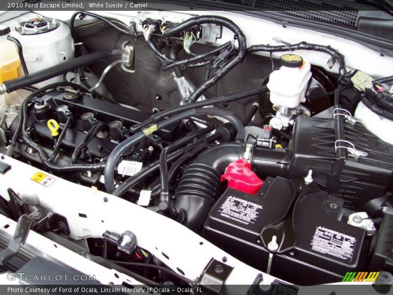 White Suede / Camel 2010 Ford Escape Limited