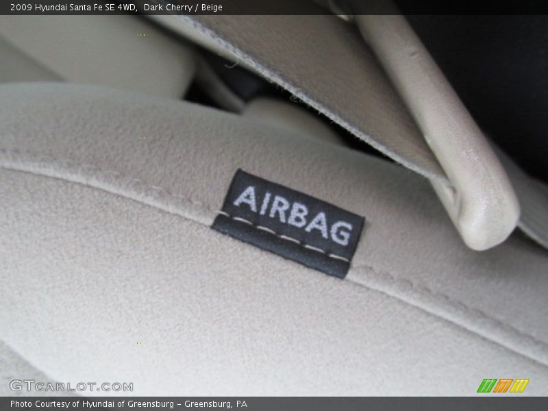 Dark Cherry / Beige 2009 Hyundai Santa Fe SE 4WD