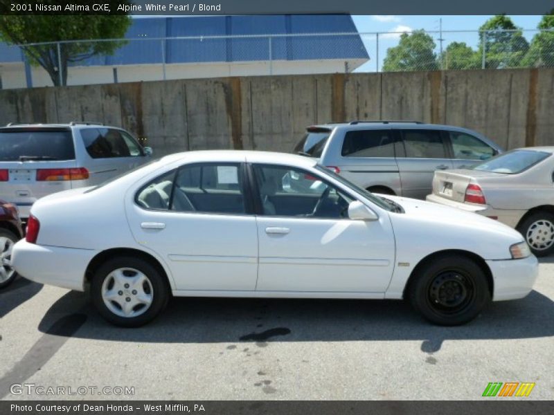 Alpine White Pearl / Blond 2001 Nissan Altima GXE