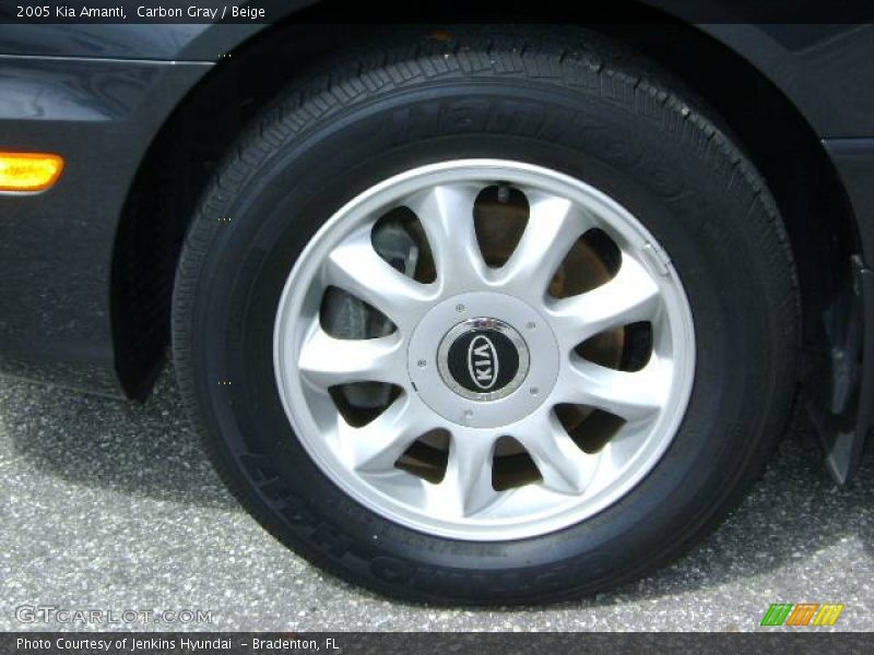 Carbon Gray / Beige 2005 Kia Amanti