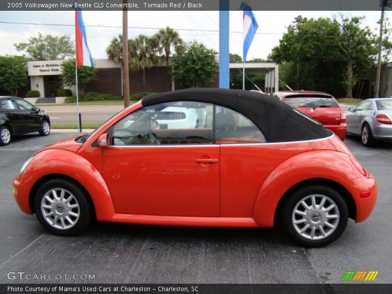 Tornado Red / Black 2005 Volkswagen New Beetle GLS Convertible