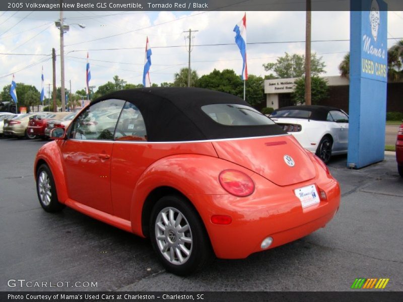 Tornado Red / Black 2005 Volkswagen New Beetle GLS Convertible