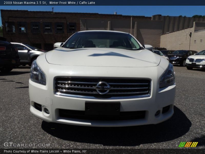Winter Frost White / Caffe Latte 2009 Nissan Maxima 3.5 SV