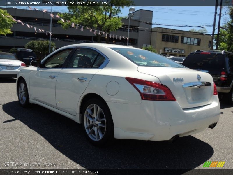 Winter Frost White / Caffe Latte 2009 Nissan Maxima 3.5 SV