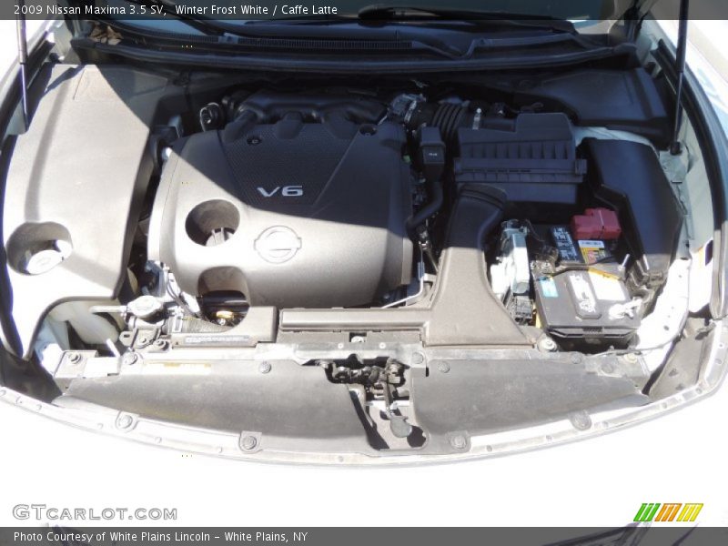 Winter Frost White / Caffe Latte 2009 Nissan Maxima 3.5 SV