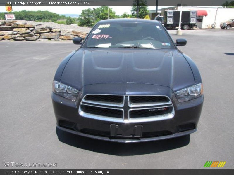 Blackberry Pearl / Black 2012 Dodge Charger SE