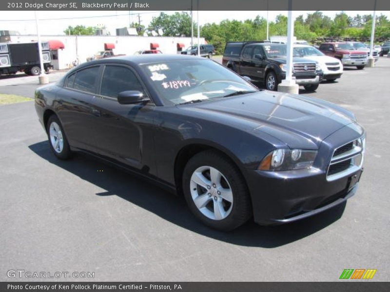 Blackberry Pearl / Black 2012 Dodge Charger SE