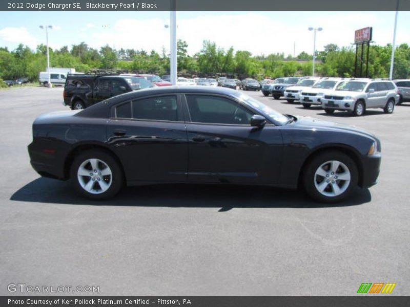 Blackberry Pearl / Black 2012 Dodge Charger SE