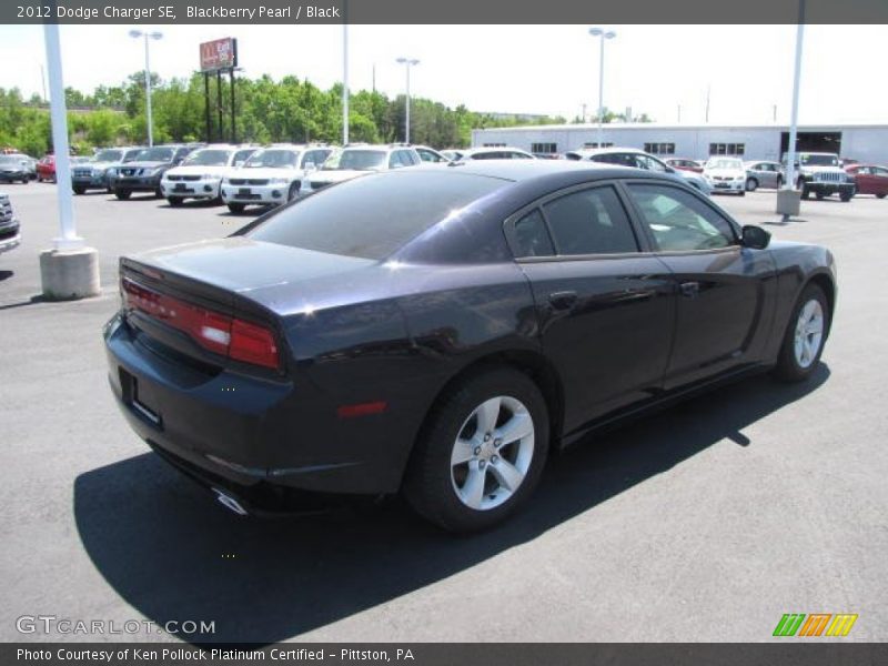 Blackberry Pearl / Black 2012 Dodge Charger SE
