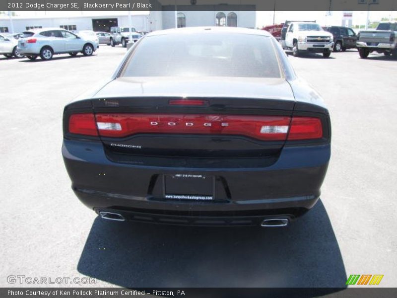 Blackberry Pearl / Black 2012 Dodge Charger SE