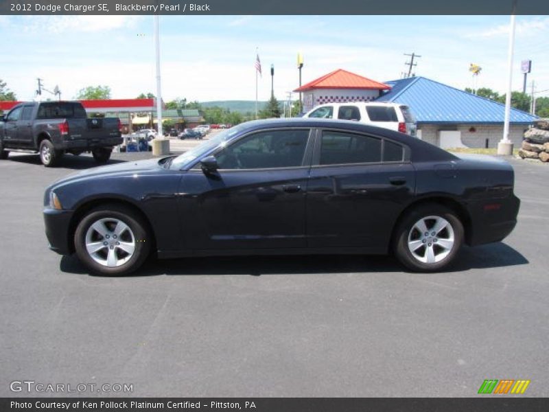 Blackberry Pearl / Black 2012 Dodge Charger SE