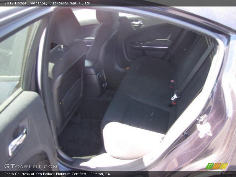 Blackberry Pearl / Black 2012 Dodge Charger SE