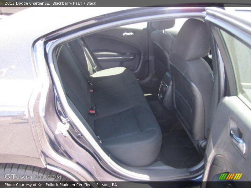 Blackberry Pearl / Black 2012 Dodge Charger SE