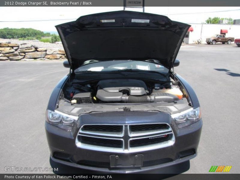 Blackberry Pearl / Black 2012 Dodge Charger SE