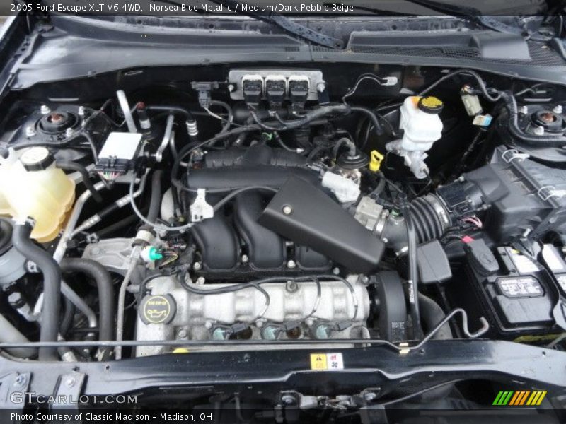 Norsea Blue Metallic / Medium/Dark Pebble Beige 2005 Ford Escape XLT V6 4WD