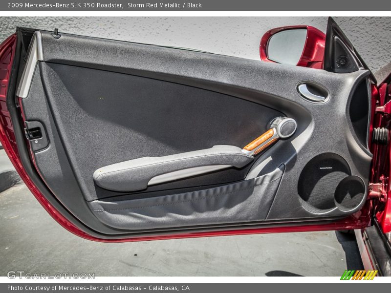 Door Panel of 2009 SLK 350 Roadster