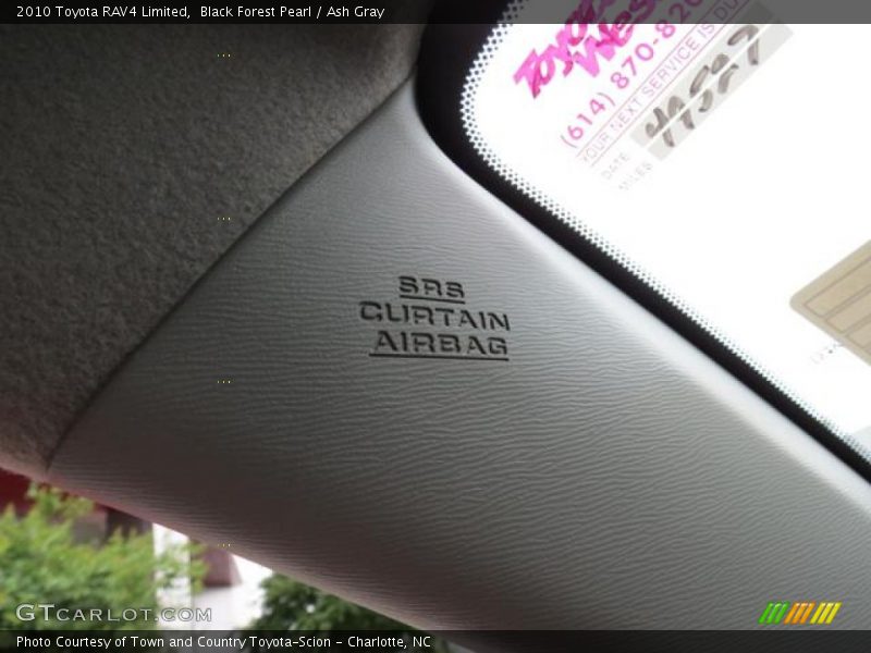 Black Forest Pearl / Ash Gray 2010 Toyota RAV4 Limited